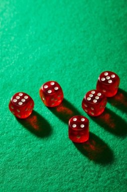 Dragon Tiger live dealer card reveal on five55 platform